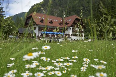 Hotel Plesnik Slowenien